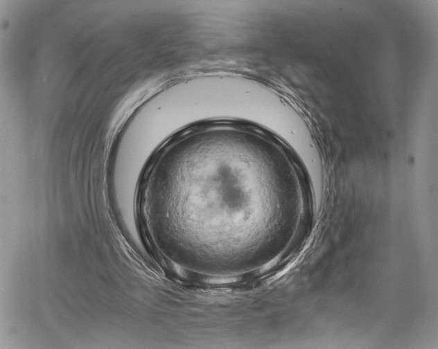 X0000061740293200512021449