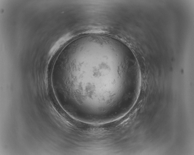 X0000061740296200512021449