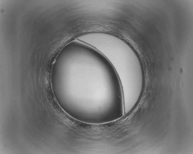 X0000061740305200512021449