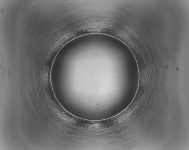 X0000061740309200512021449