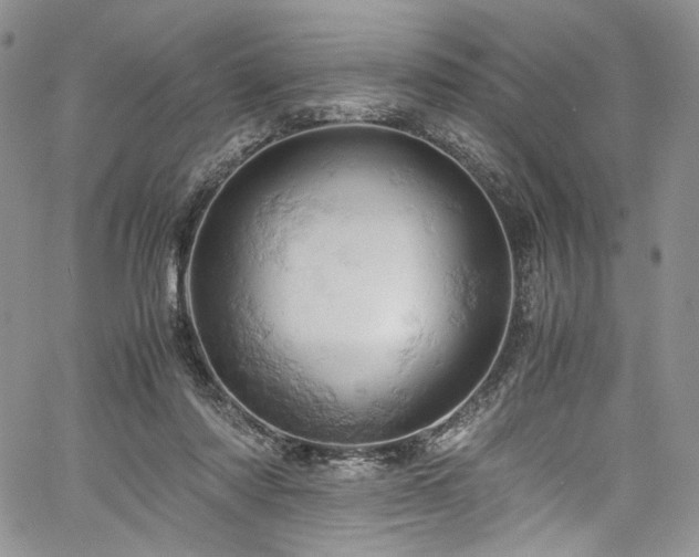 X0000061740310200512021449