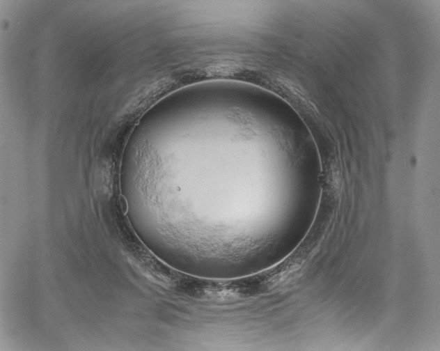X0000061740311200512021449