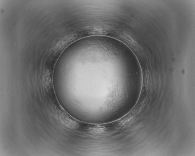 X0000061740318200512021448