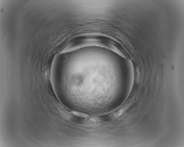 X0000061740329200512021448