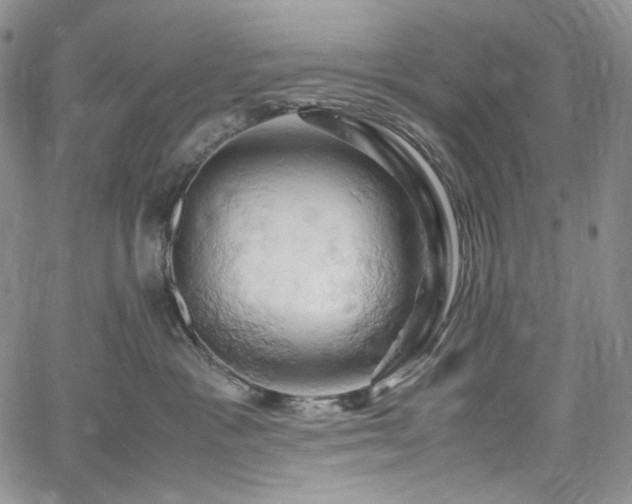 X0000061740333200512021448