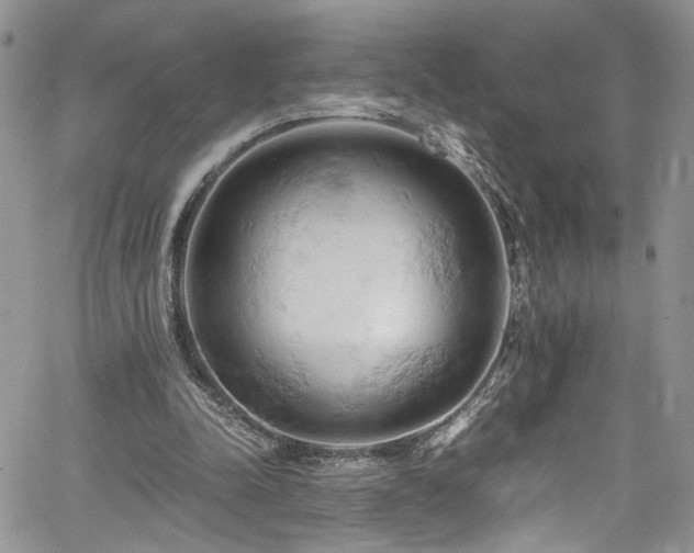 X0000061740342200512021447
