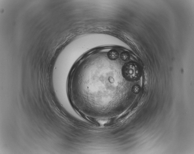 X0000061740362200512021448
