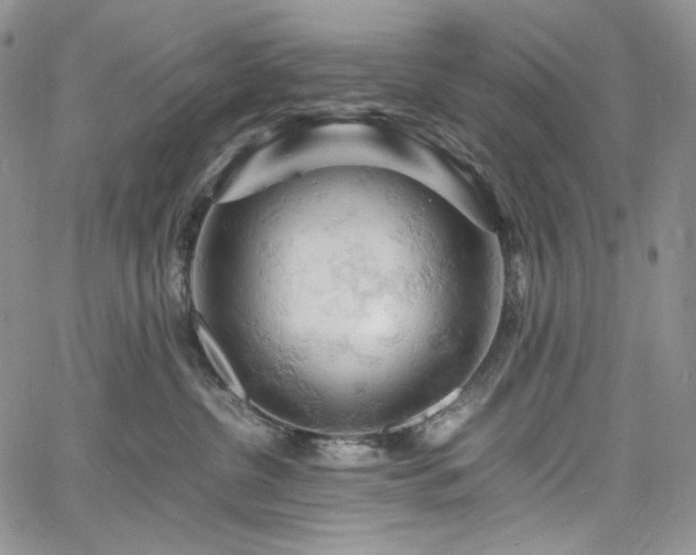 X0000061740380200512021448