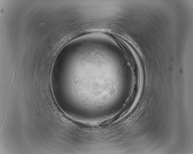 X0000061740385200512021447