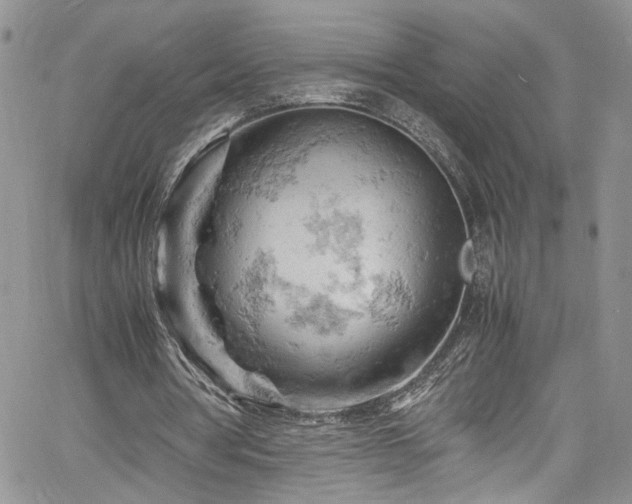X0000061740386200512021447