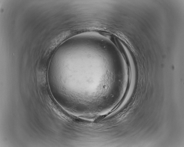 X0000061740393200512021447