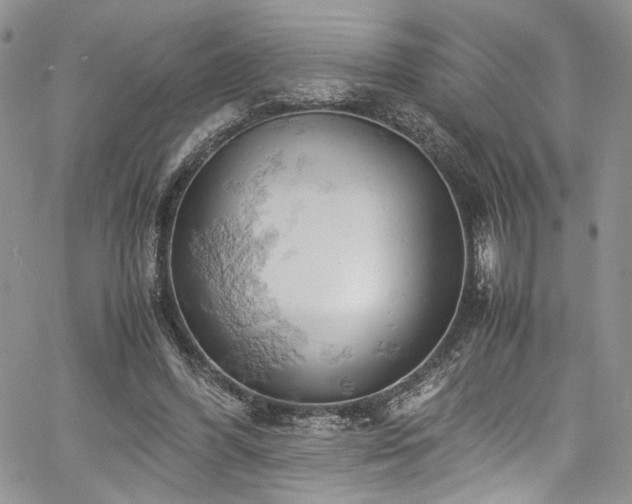 X0000061740396200512021447