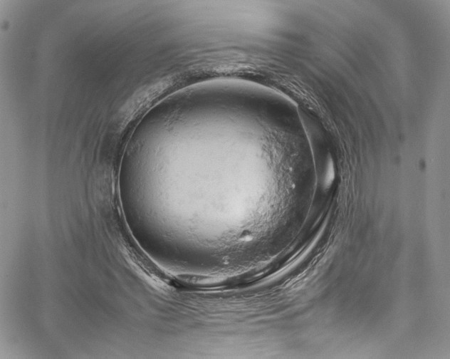 X0000061740397200512021447