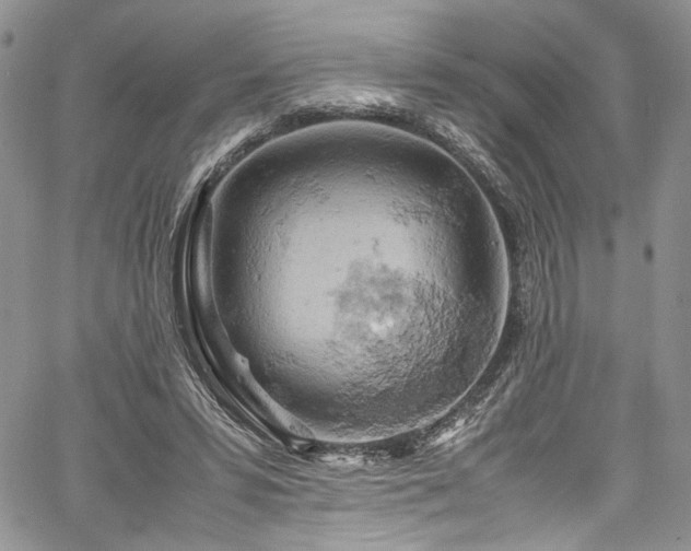 X0000061740399200512021447
