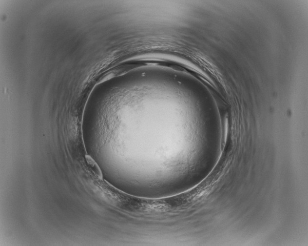 X0000061740401200512021447