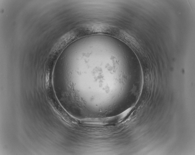 X0000061740406200512021447