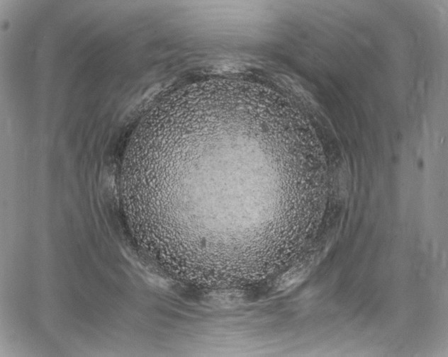 X0000061740415200512021447