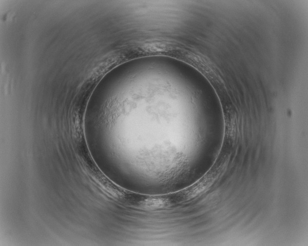 X0000061740418200512021447