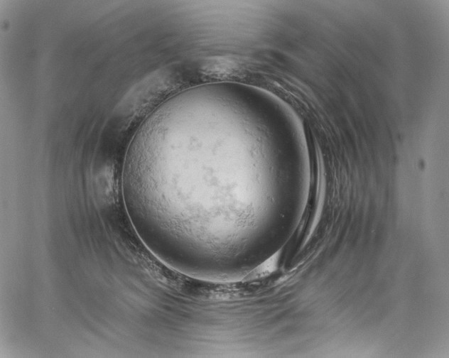 X0000061740420200512021447