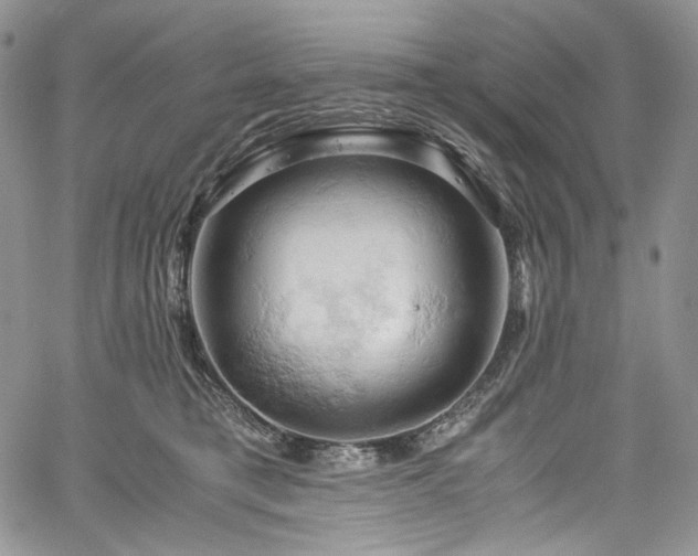 X0000061740421200512021447