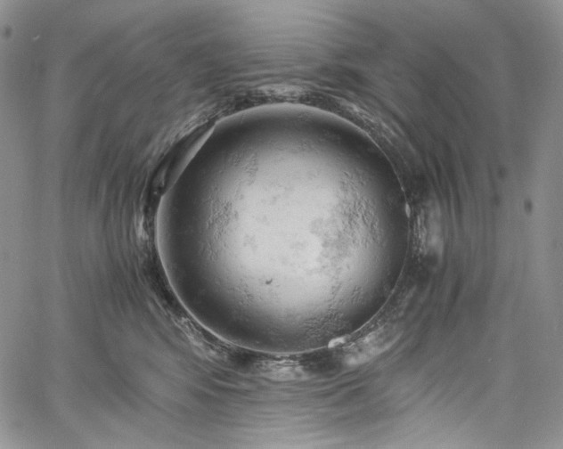 X0000061740424200512021447