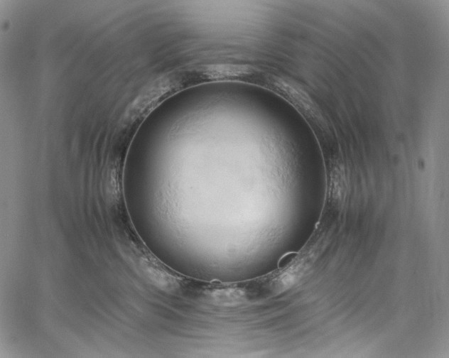X0000061740426200512021447