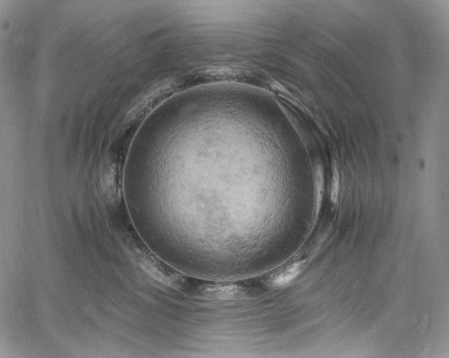 X0000061740428200512021447