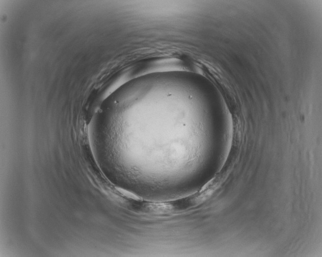 X0000061740429200512021447