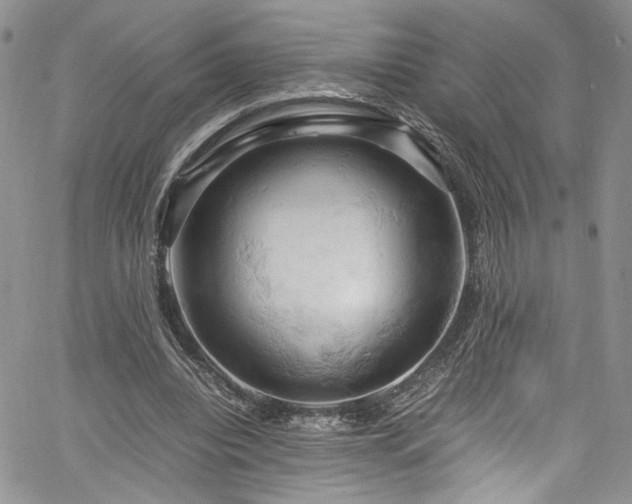 X0000061740440200512021446