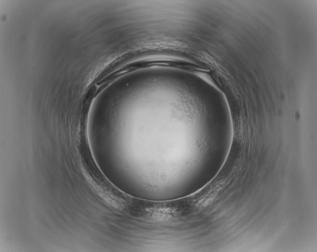 X0000061740448200512021446
