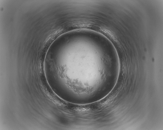 X0000061740453200512021446