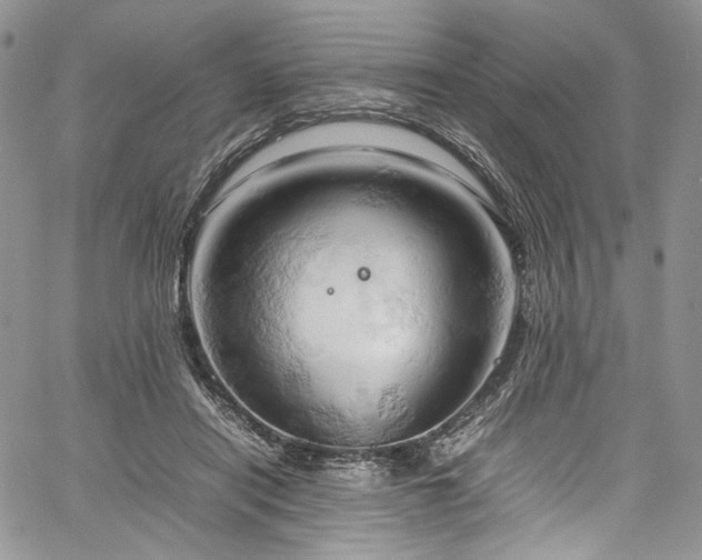 X0000061740454200512021446