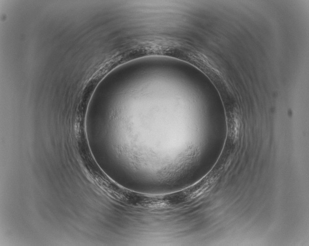 X0000061740456200512021446