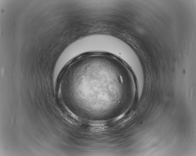 X0000061740465200512021446