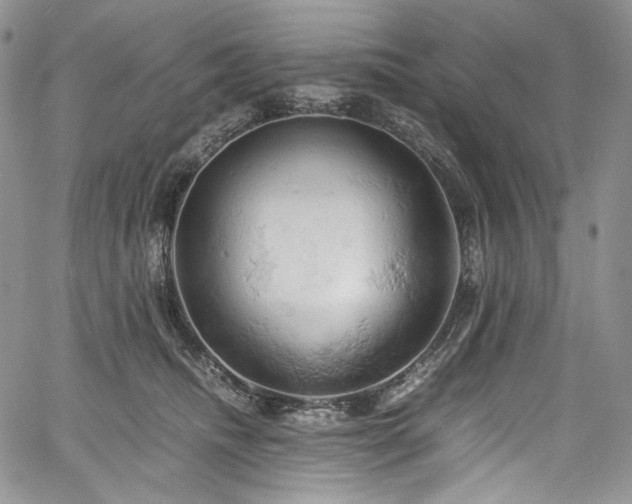 X0000061740468200512021446