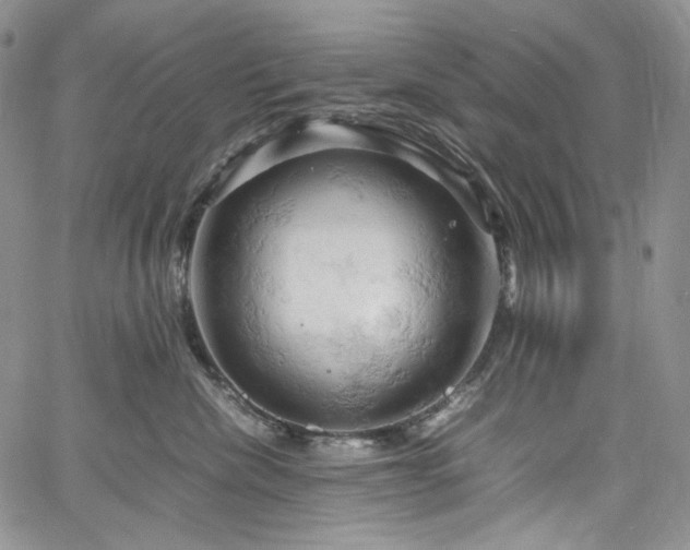 X0000061740476200512021447