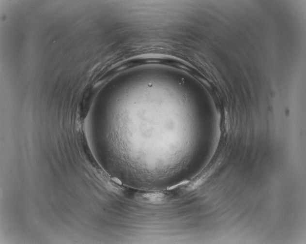 X0000061740478200512021447