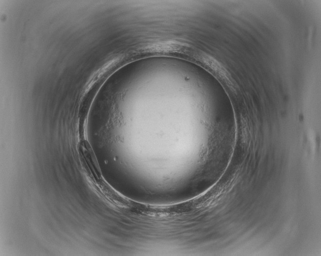 X0000061740486200512021446