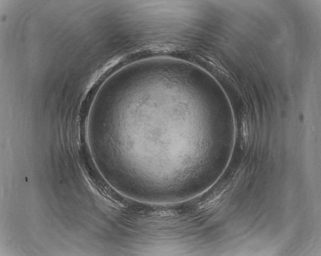 X0000061740492200512021446