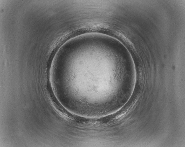 X0000061740493200512021446