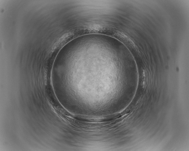 X0000061740496200512021446