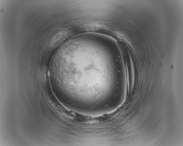 X0000061740501200512021445