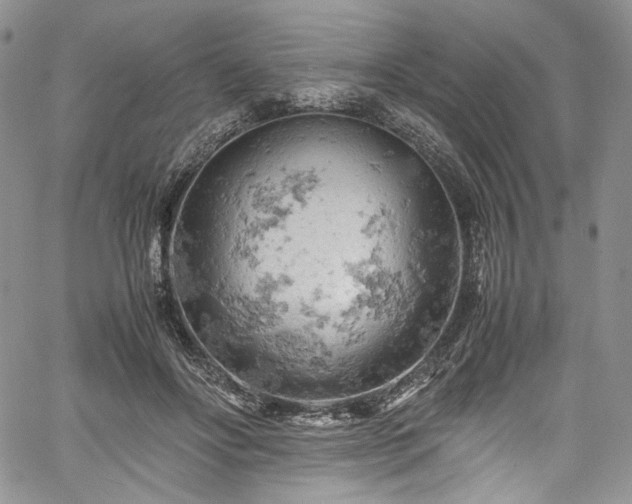 X0000061740502200512021445
