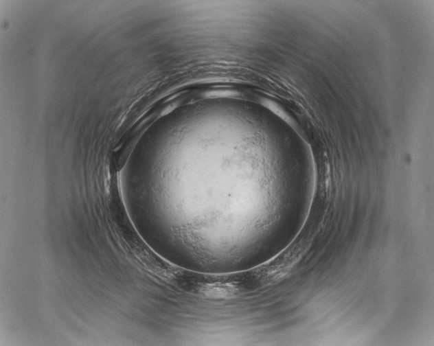 X0000061740508200512021445