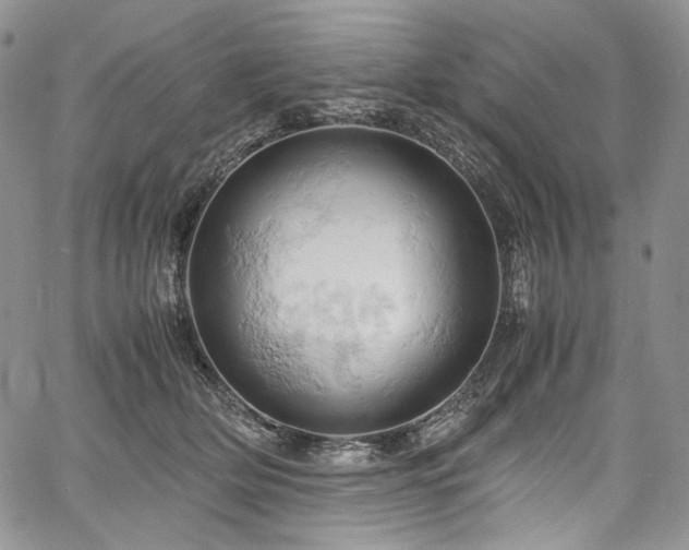 X0000061740514200512021445