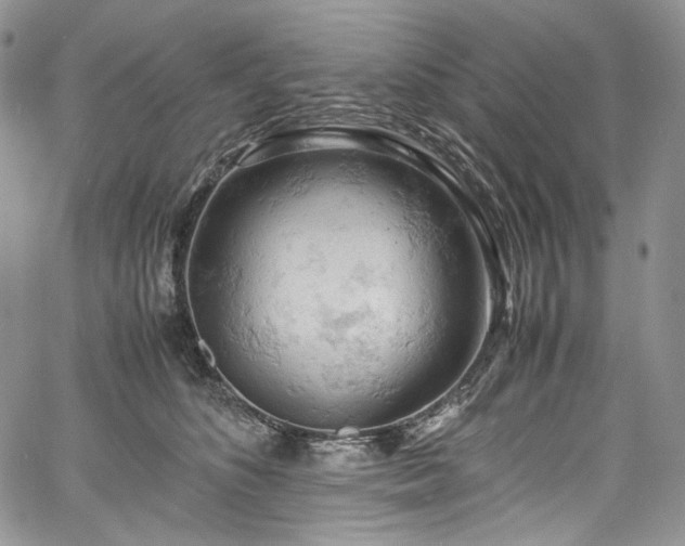 X0000061740516200512021445