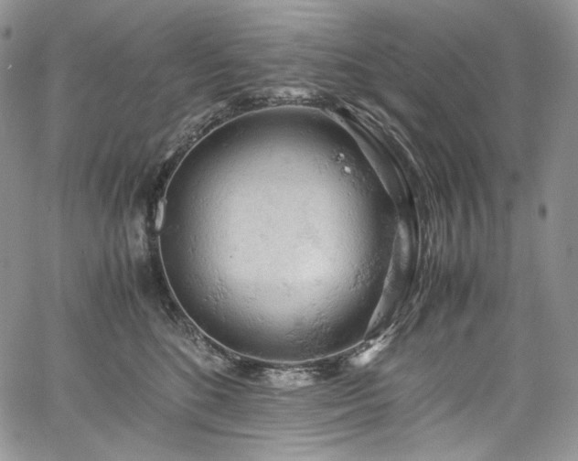 X0000061740520200512021445
