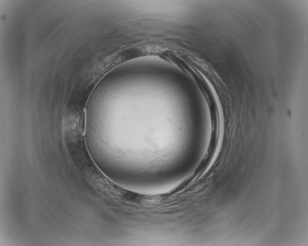 X0000061740521200512021445