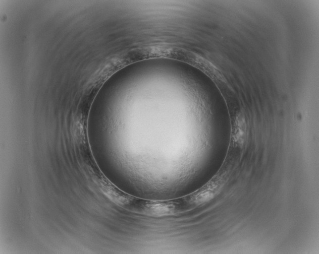 X0000061740522200512021445