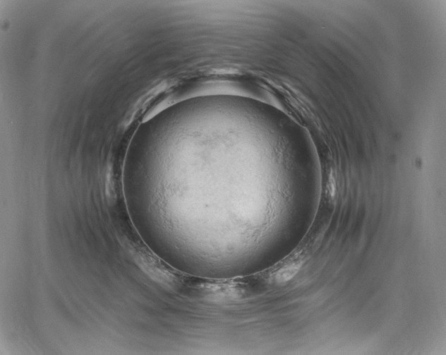 X0000061740524200512021445